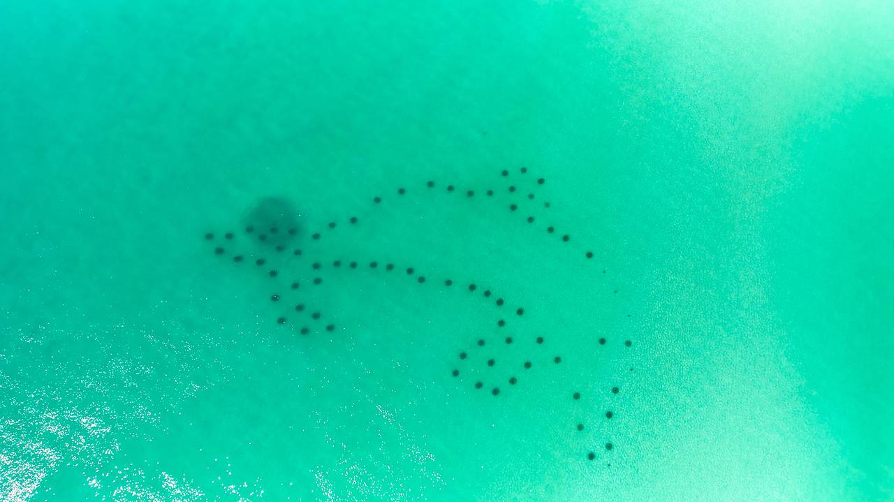 SBD212 Bungalow - Beach SBD212 Bungalow - Beach