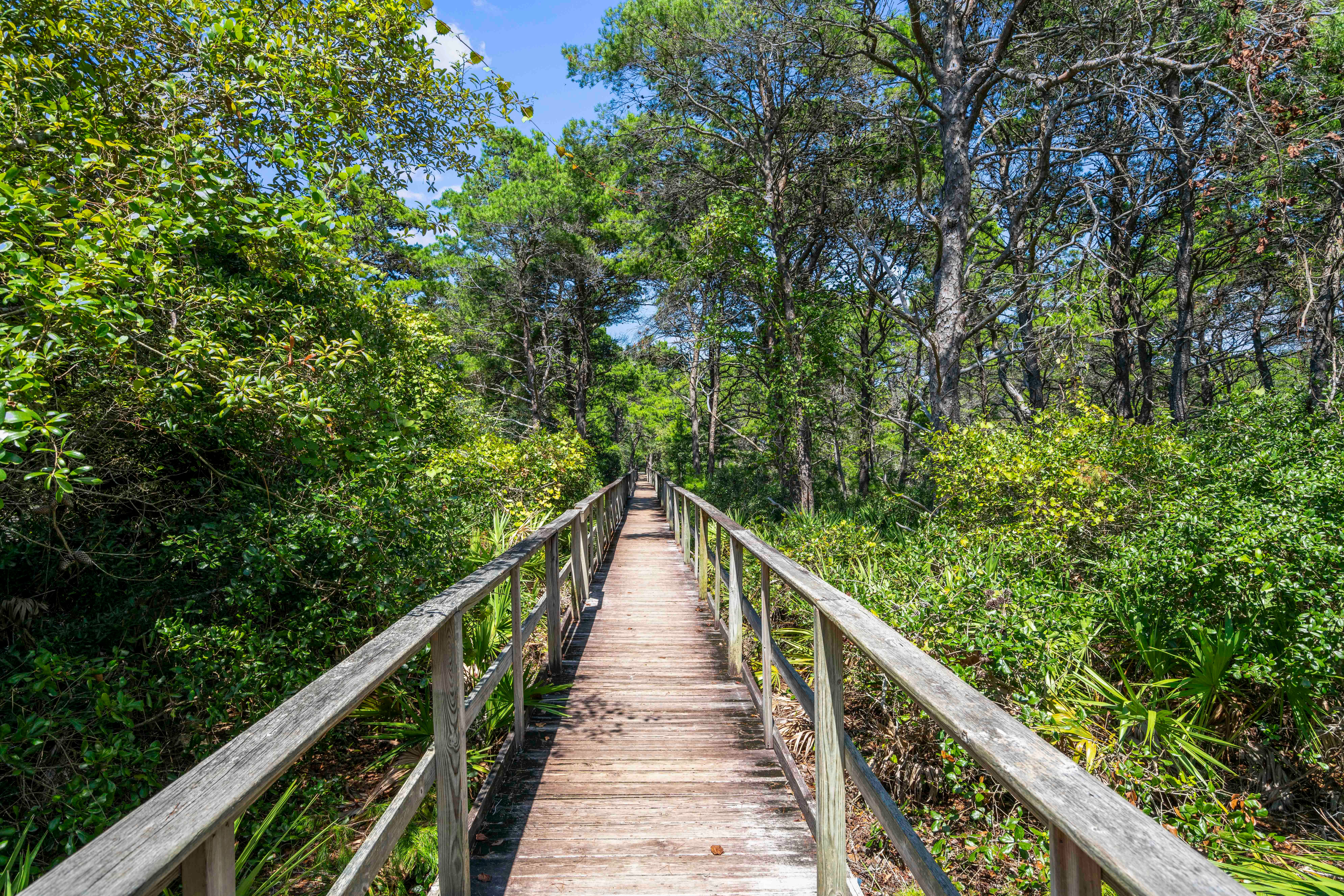 Beach Access