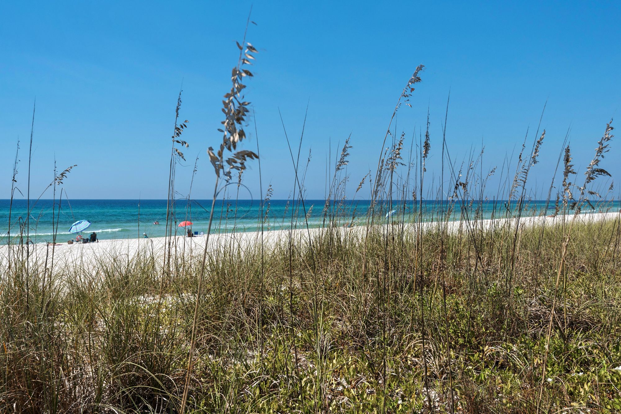 Vintage Waves Beach View