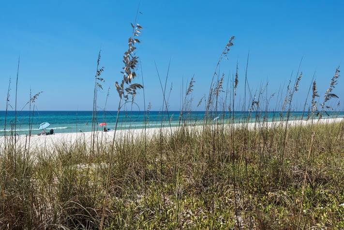 Vintage Waves Beach View Vintage Waves Beach View