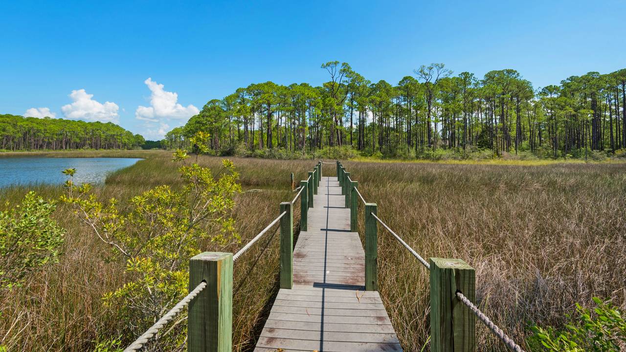Cessna Landing Cessna Landing