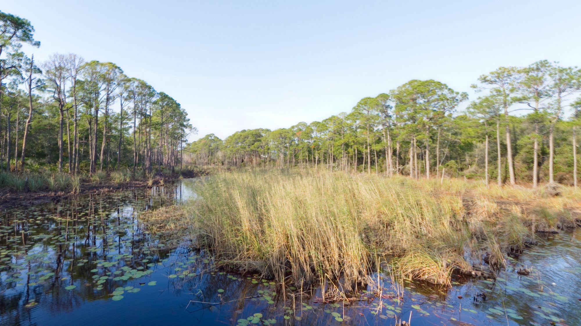 Redfish Village - Big Redfish Lake
