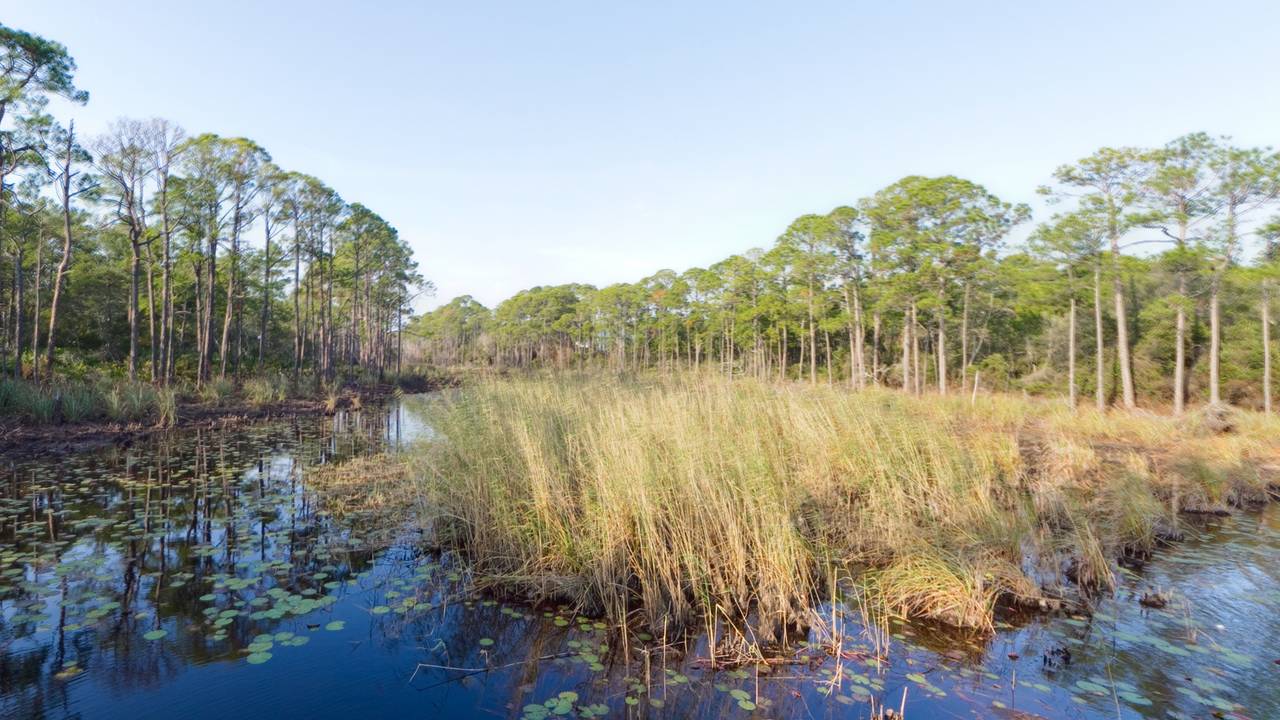 Redfish Village - Big Redfish Lake Redfish Village - Big Redfish Lake