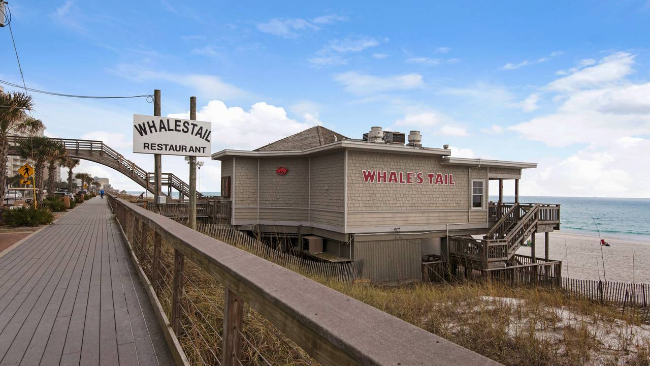 Whale’s Tail Bar & Grill Whale’s Tail Bar & Grill