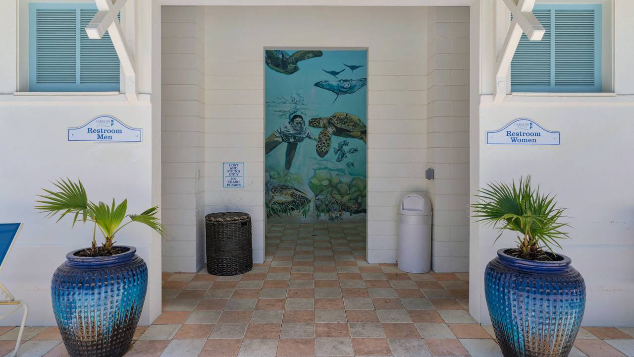 The Bellview Park The Bellview Park