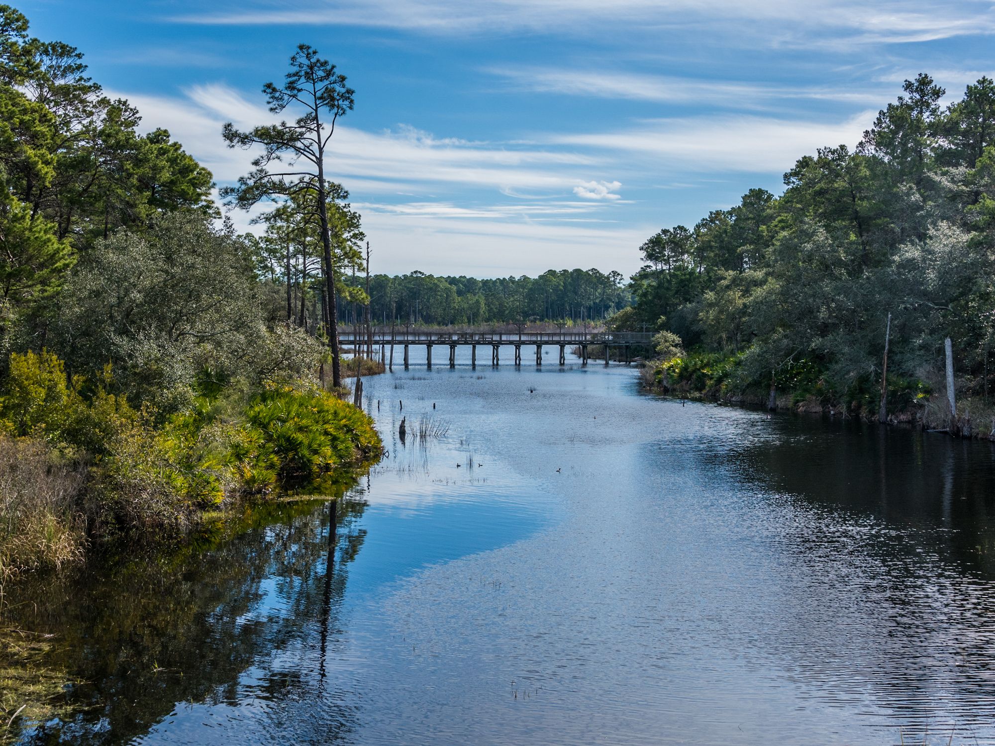 Dune Allen Grounds & Amenities