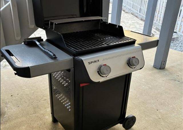 Brand New Private Gas Grill 