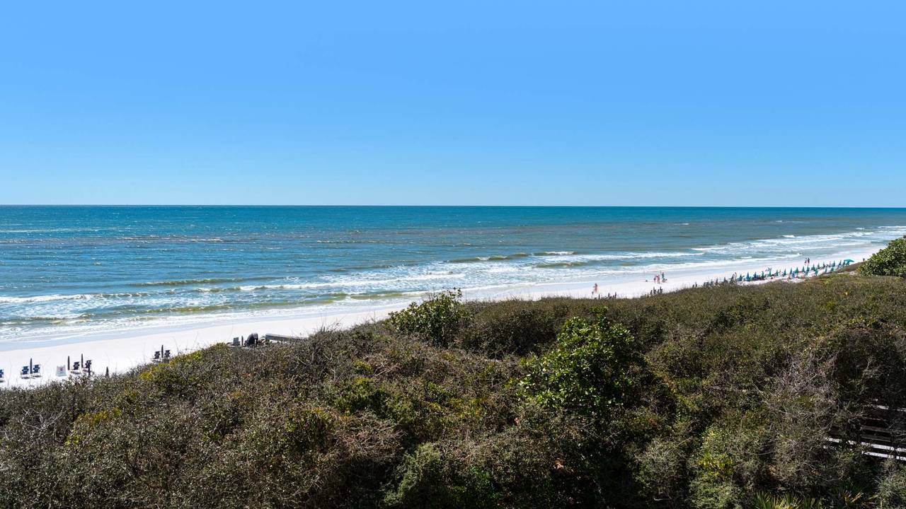 Legacy 303 Views Legacy 303 Views