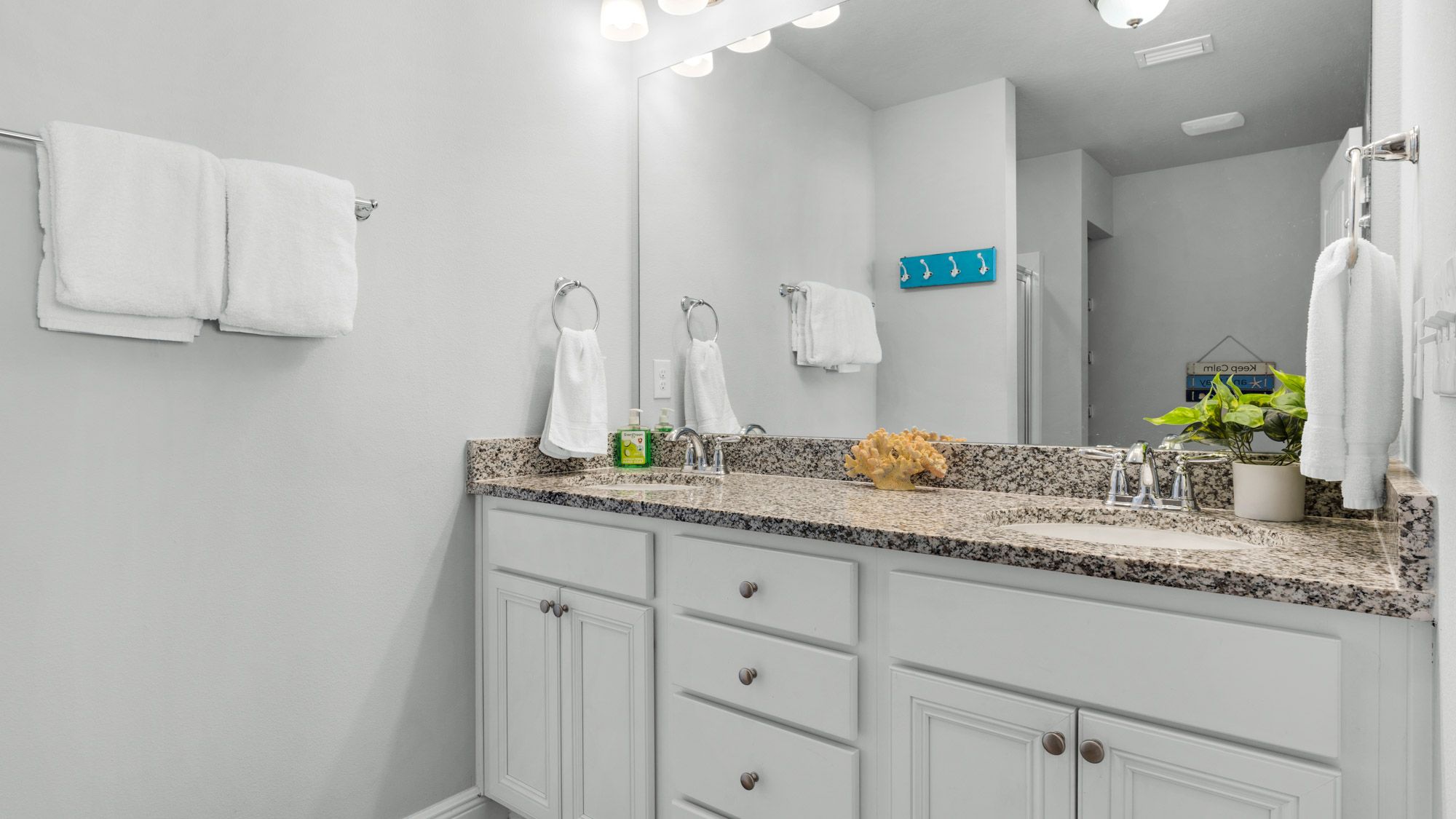 Rae of Sunshine - Master Bathroom