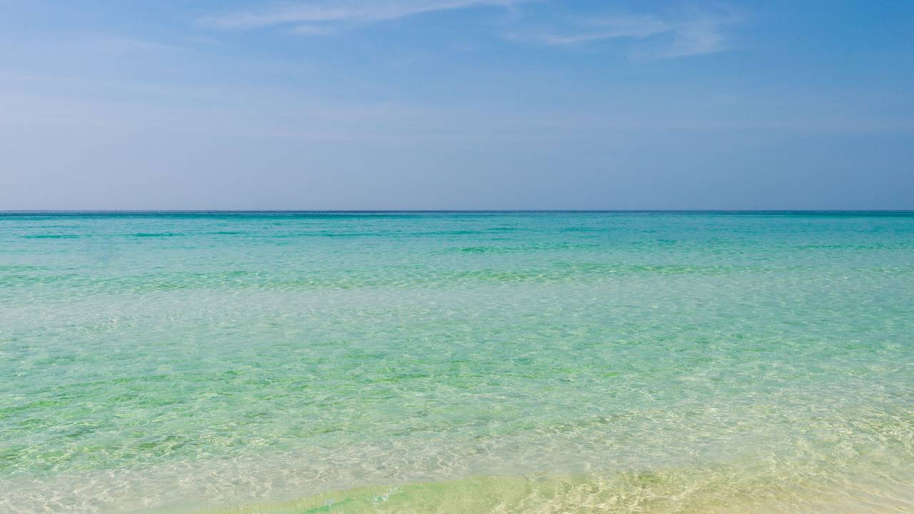 The Palms of Destin Resort Grounds & Amenities The Palms of Destin Resort Grounds & Amenities