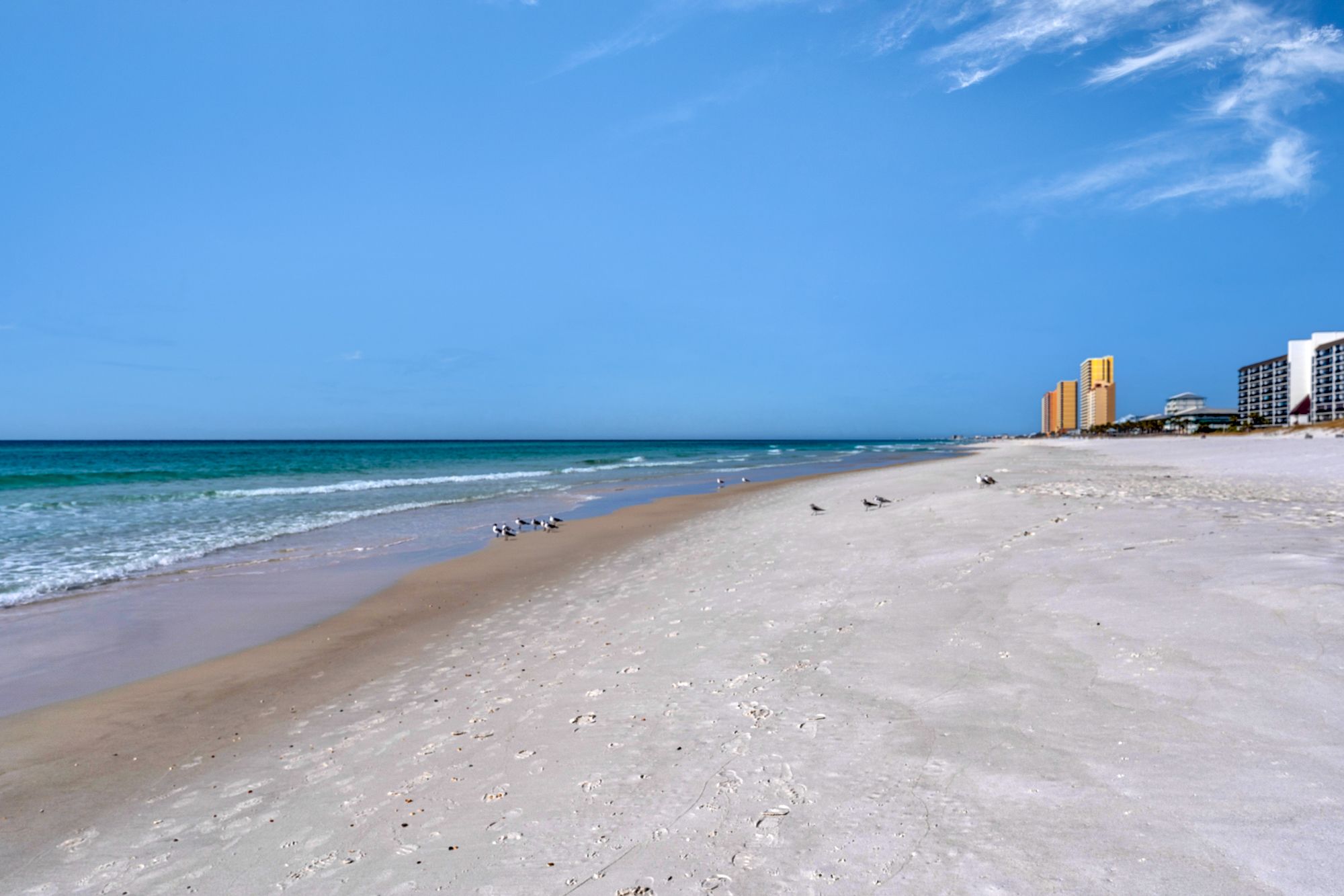 Sand Castle West Beach Area
