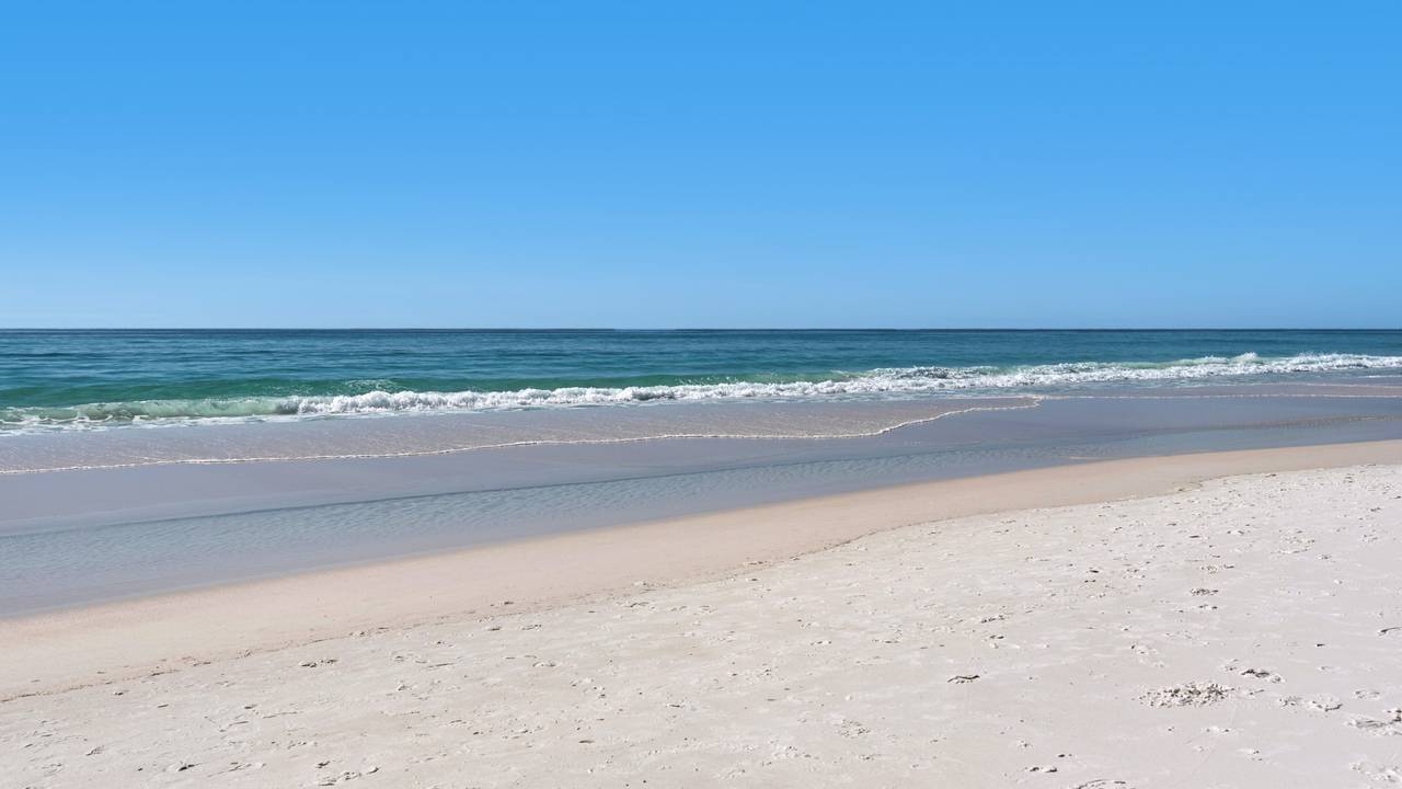 Chateau La Mer II Grounds & Amenities Chateau La Mer II Grounds & Amenities