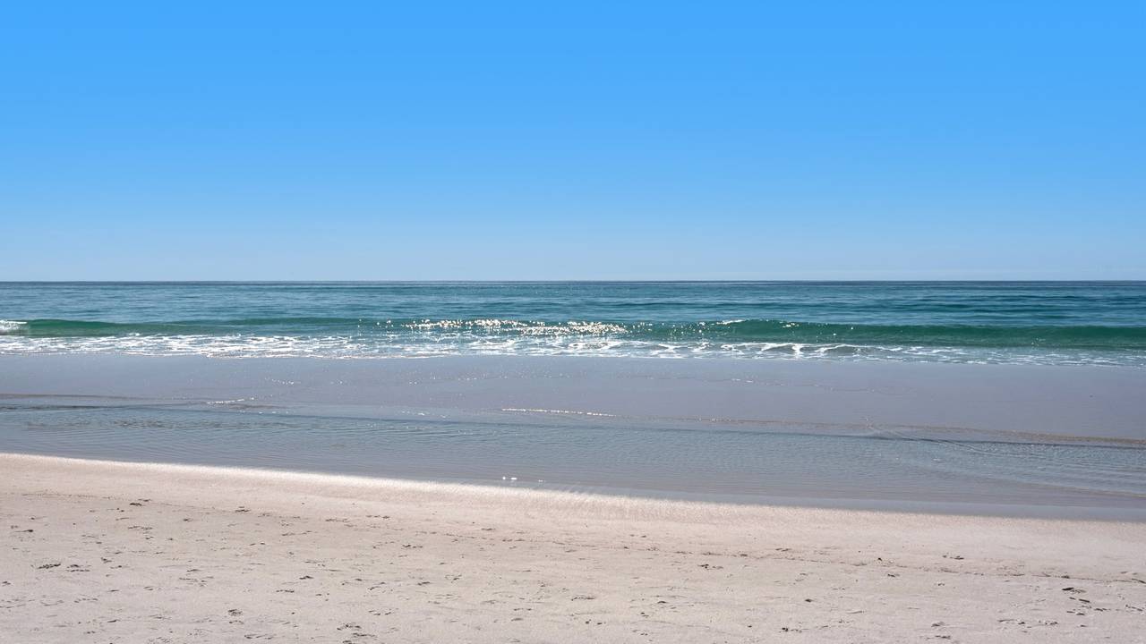 Chateau La Mer II Grounds & Amenities Chateau La Mer II Grounds & Amenities