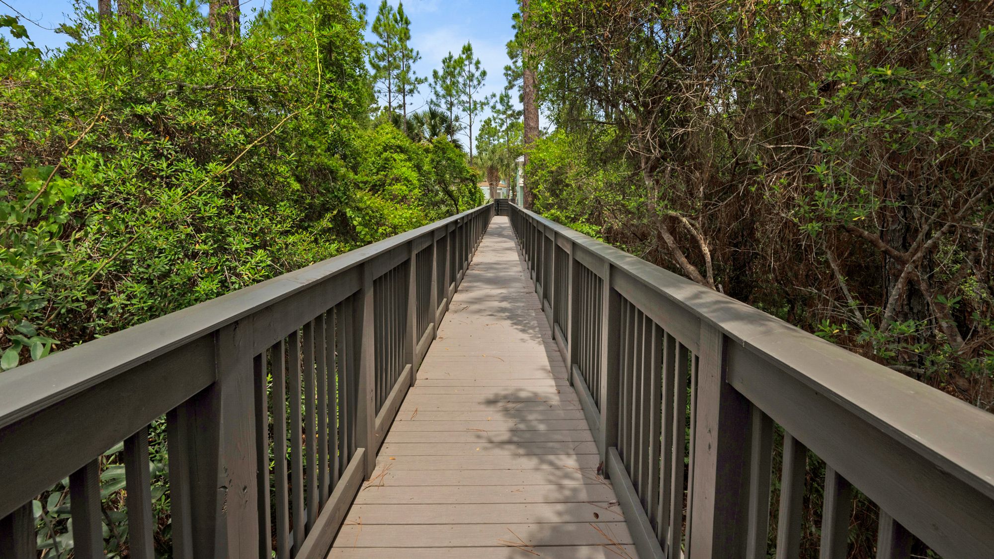 Cottages at Eastern Lake Grounds & Amenities