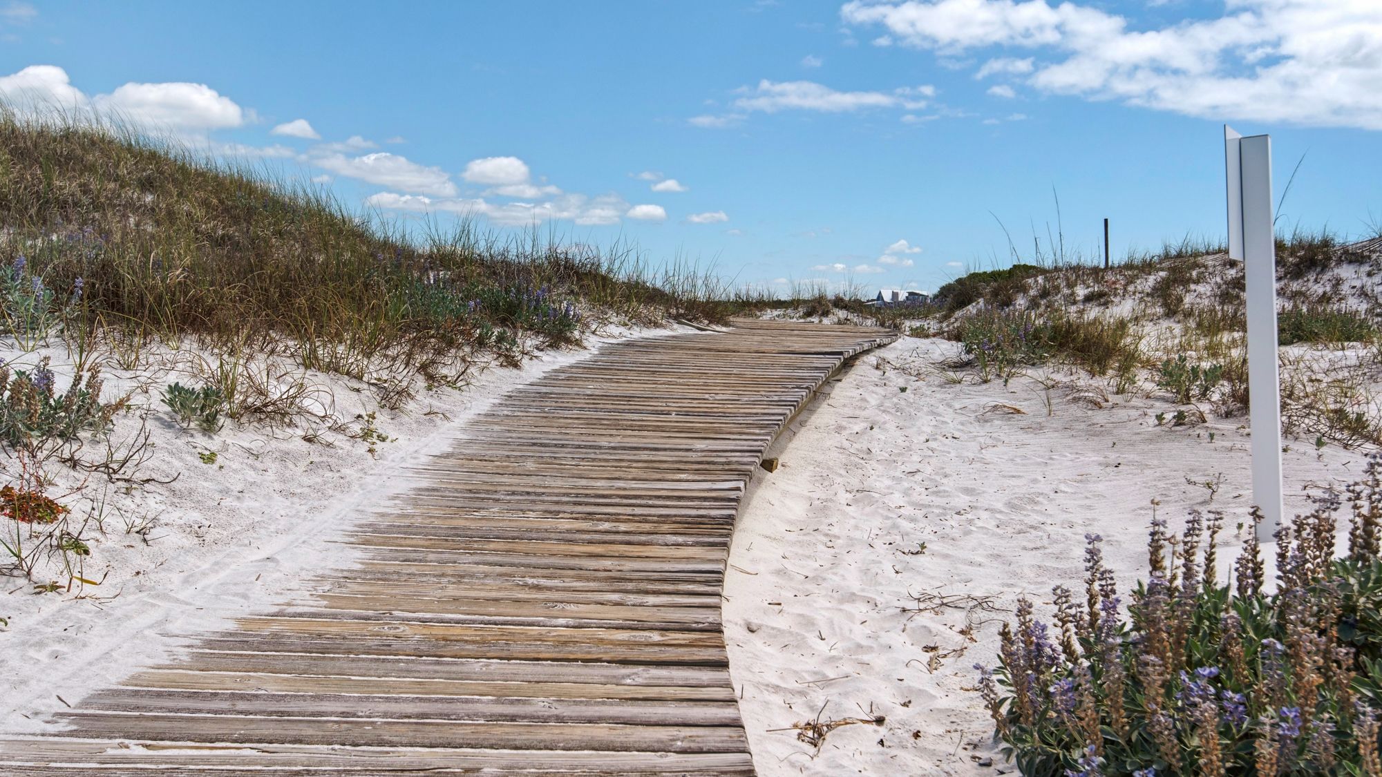 Watersound Grounds & Amenities