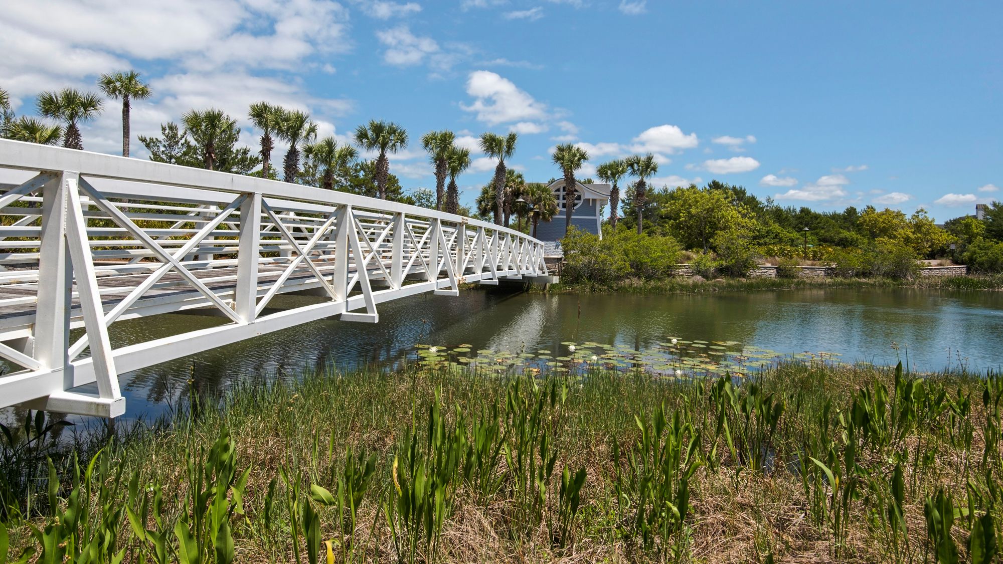 Watersound Grounds & Amenities