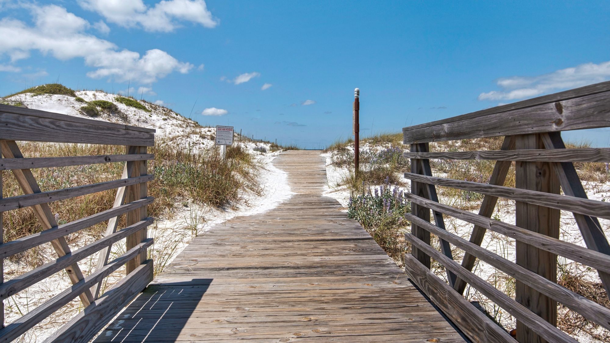 Watersound Grounds & Amenities