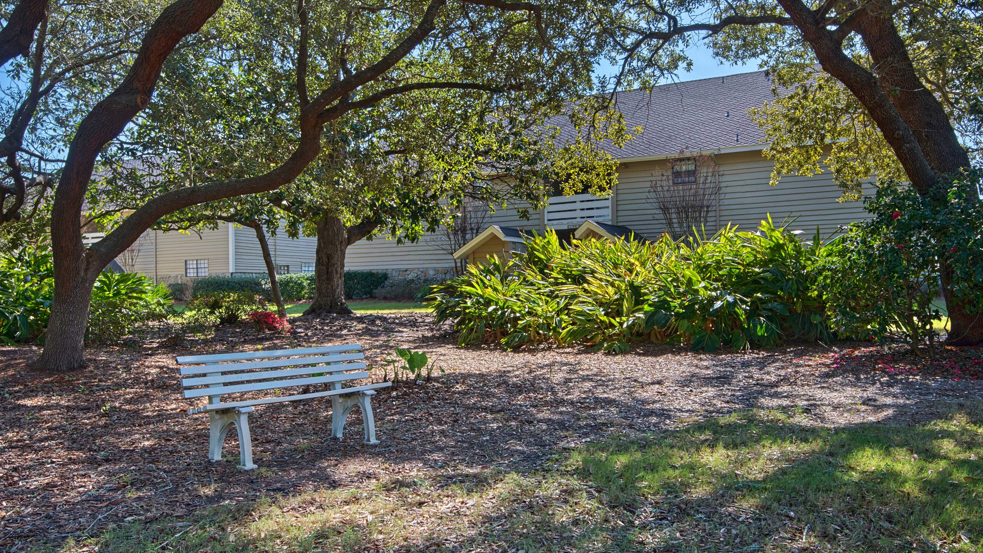 Seascape Resort Grounds & Amenities