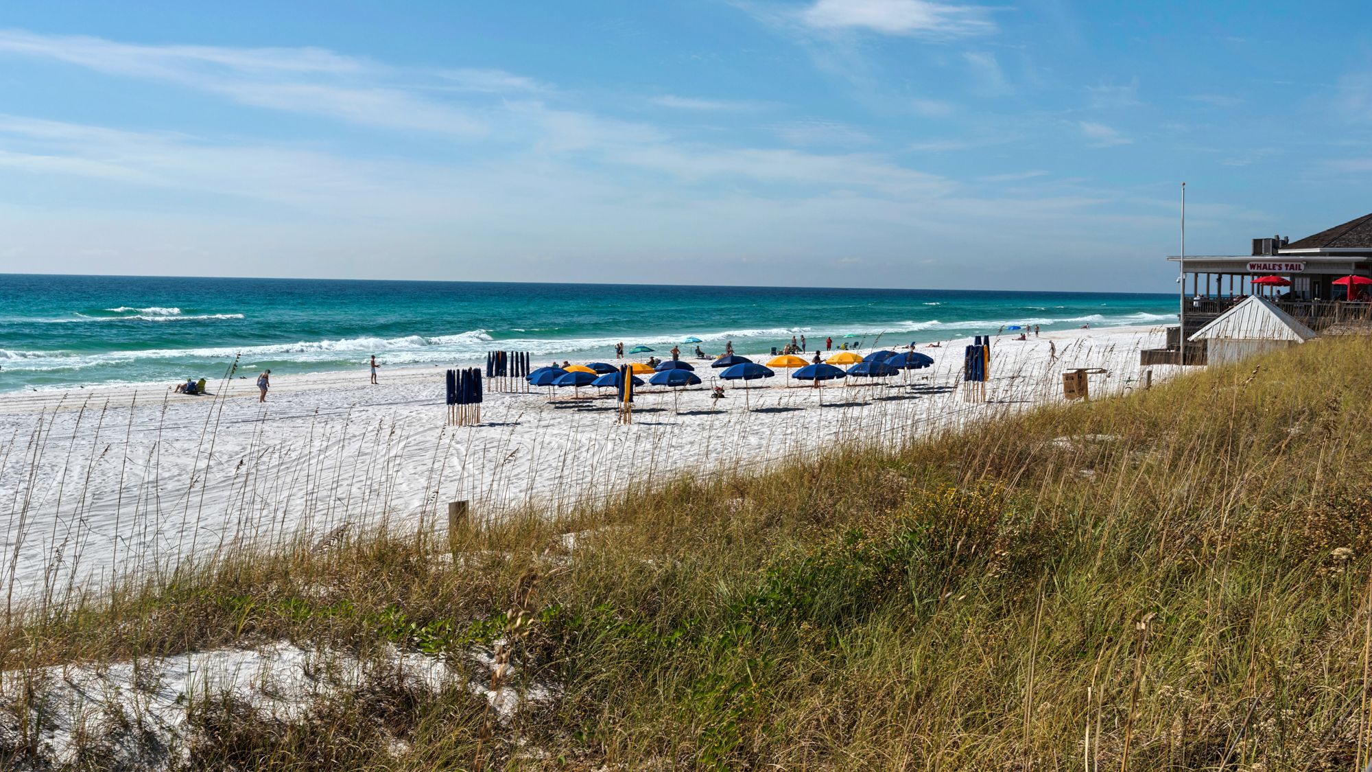 Seascape Resort Grounds & Amenities