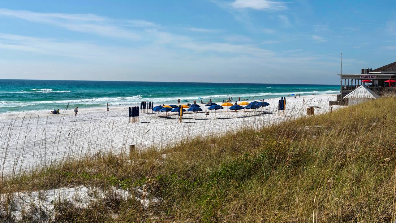 Seascape Resort Grounds & Amenities Seascape Resort Grounds & Amenities