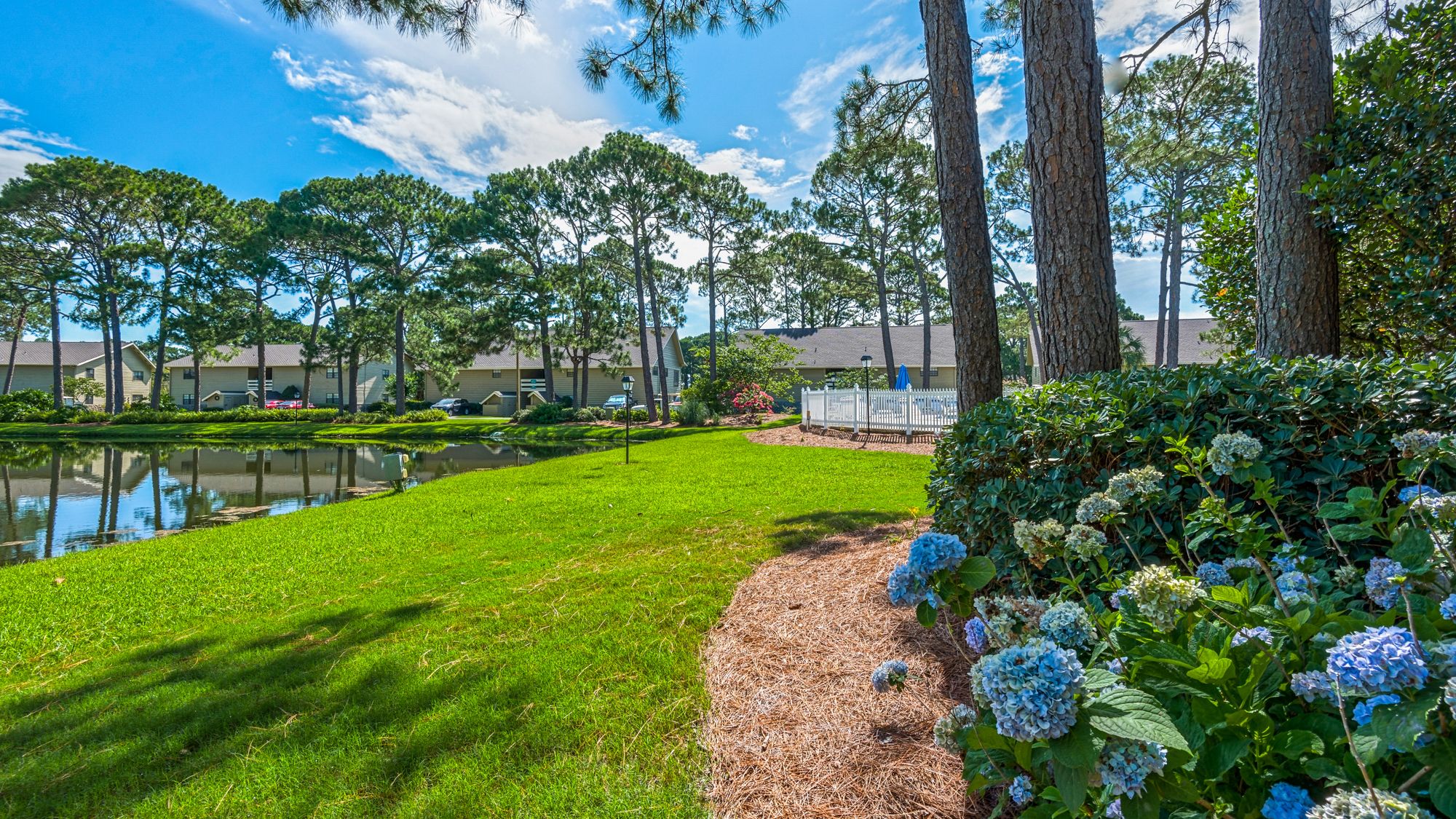 Seascape Resort Grounds & Amenities