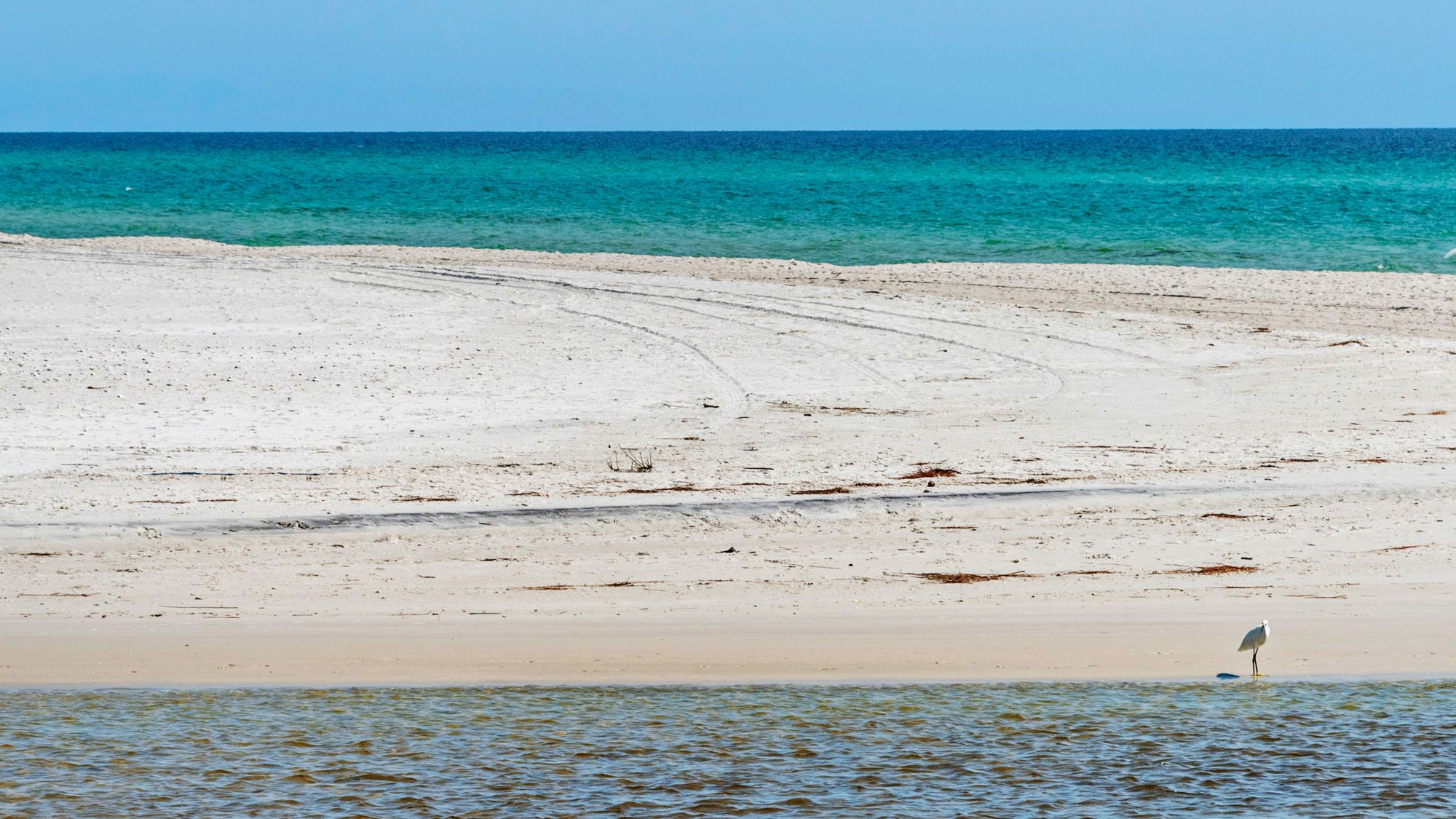 Inlet Beach and 30A Area