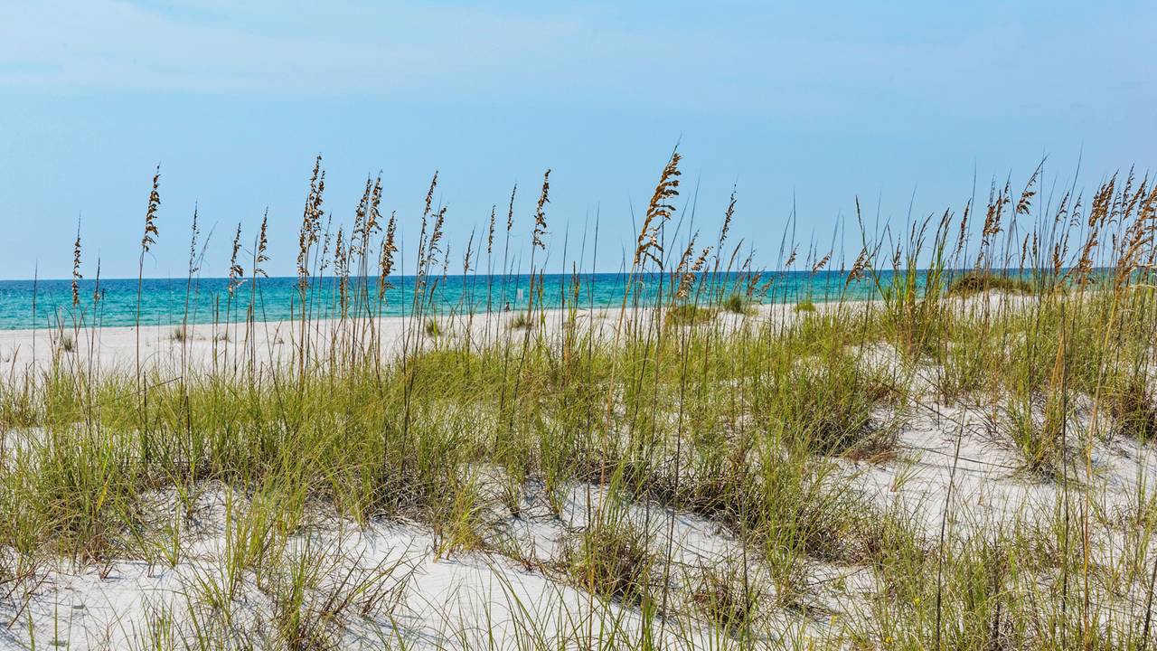 Inlet Beach and 30A Area Inlet Beach and 30A Area