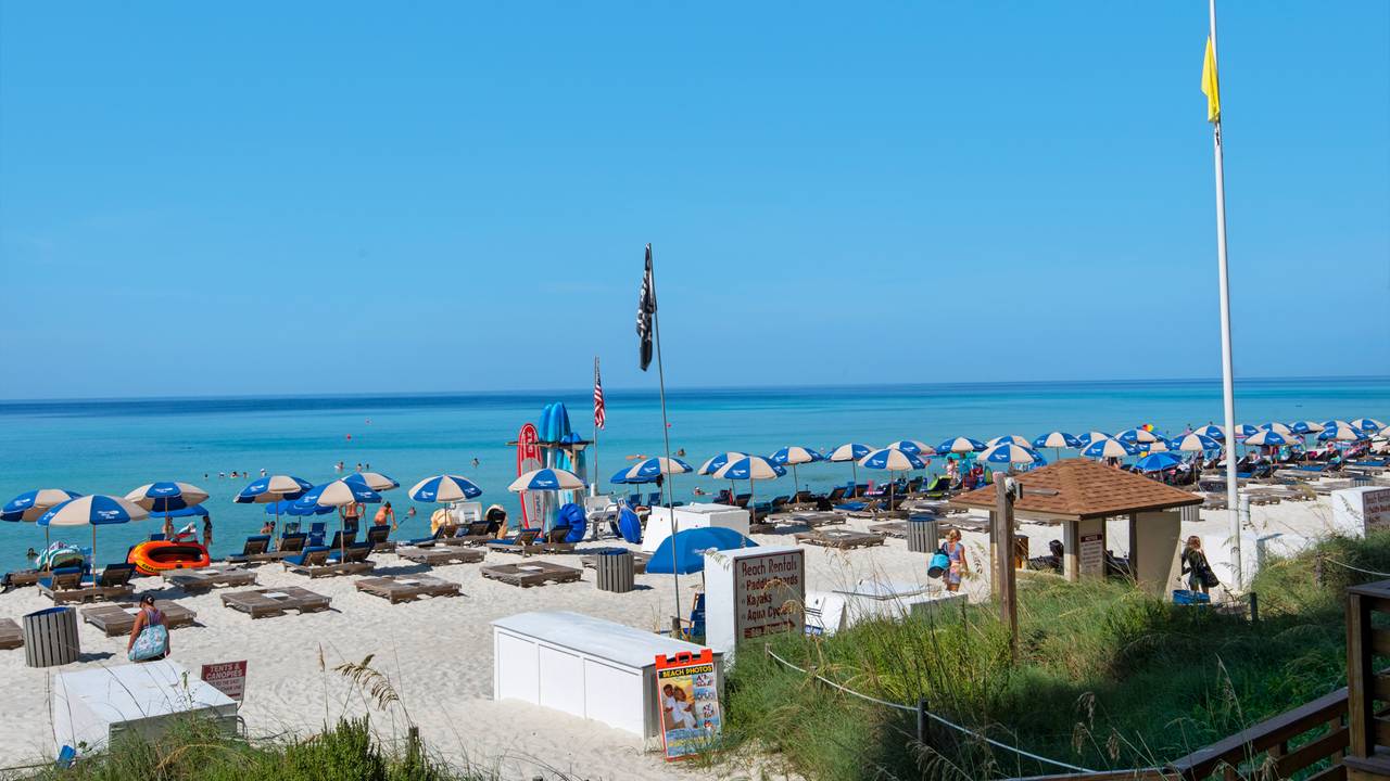 Tidewater Grounds & Amenities Tidewater Grounds & Amenities