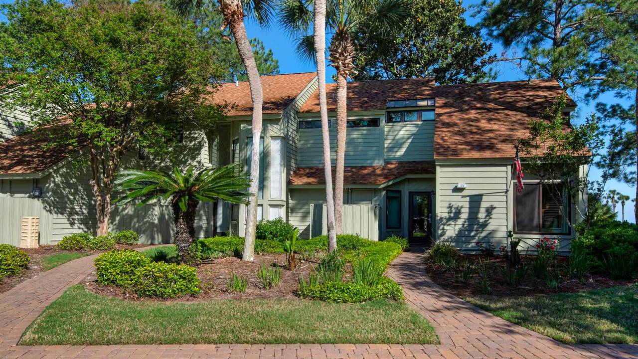 See Ya Later - Front View See Ya Later - Front View