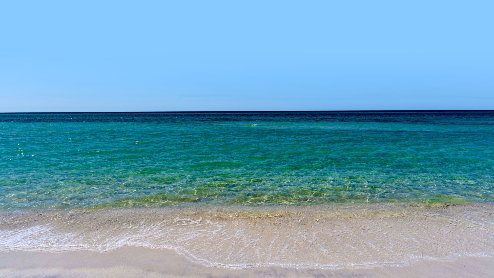 Palazzo Condominium Grounds & Amenities