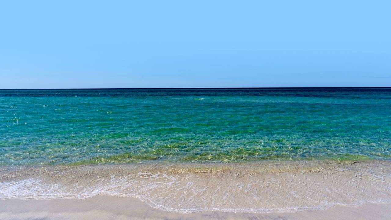 Palazzo Condominium Grounds & Amenities Palazzo Condominium Grounds & Amenities