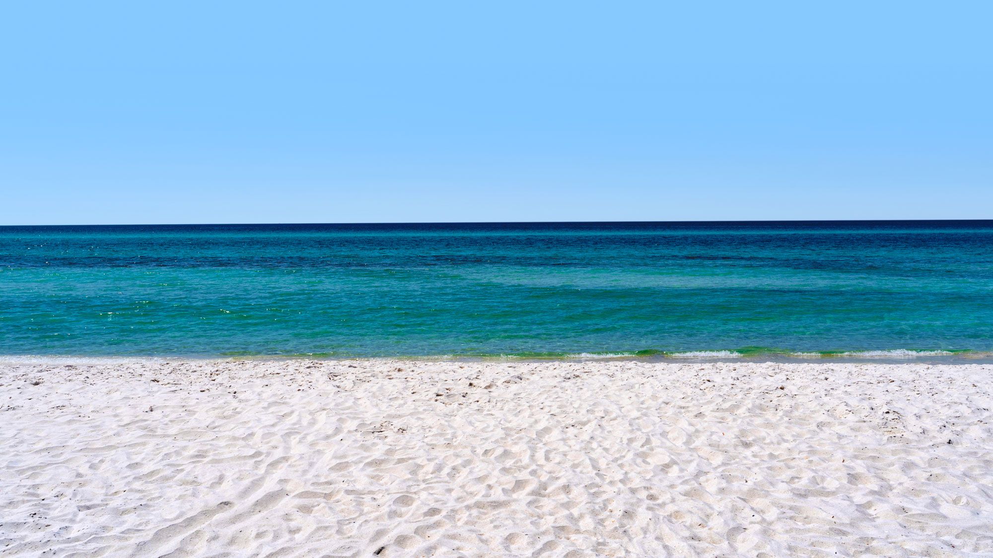 Palazzo Condominium Grounds & Amenities