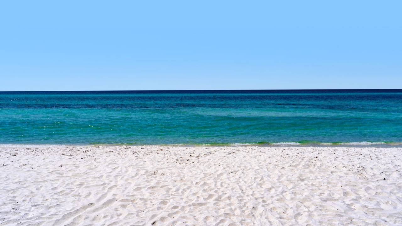 Palazzo Condominium Grounds & Amenities Palazzo Condominium Grounds & Amenities