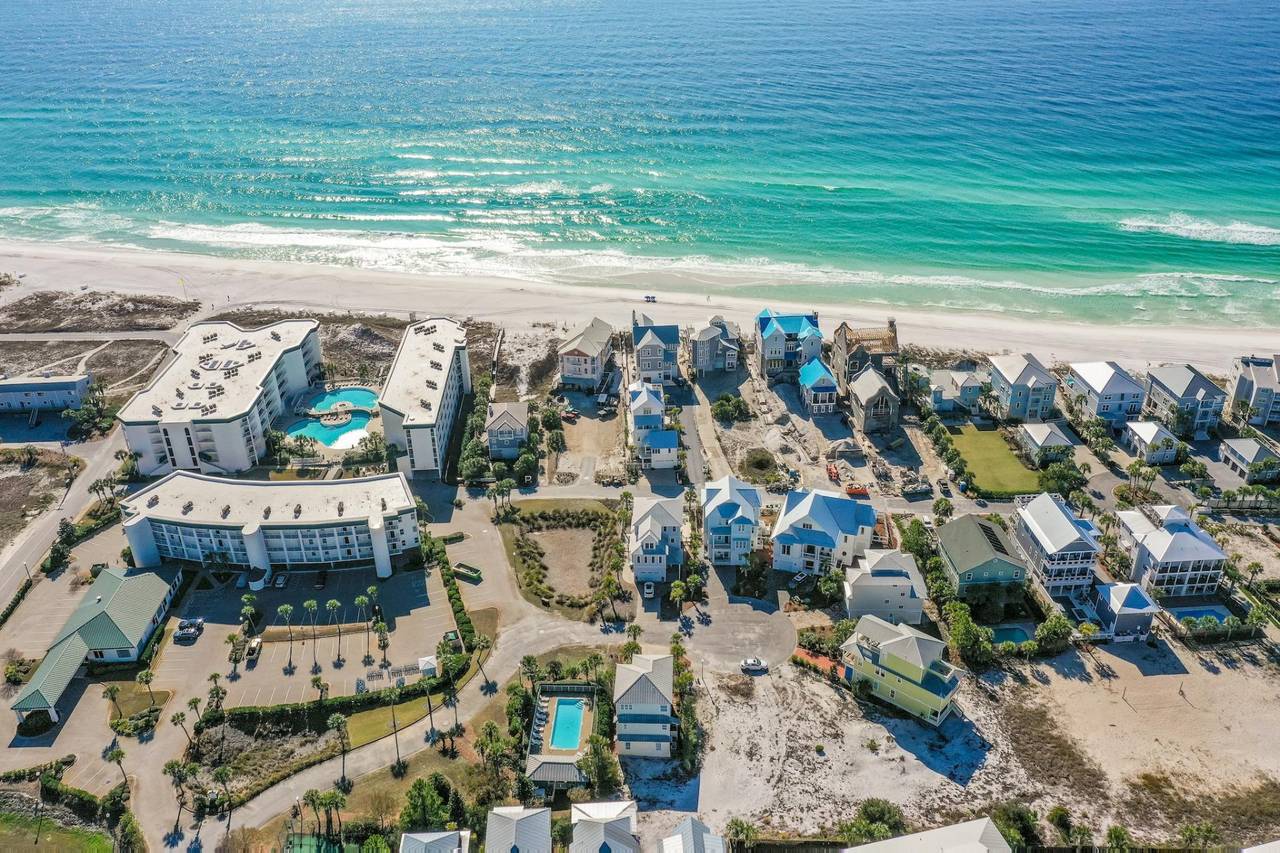 The Bee's Knees Drone Shot The Bee's Knees Drone Shot