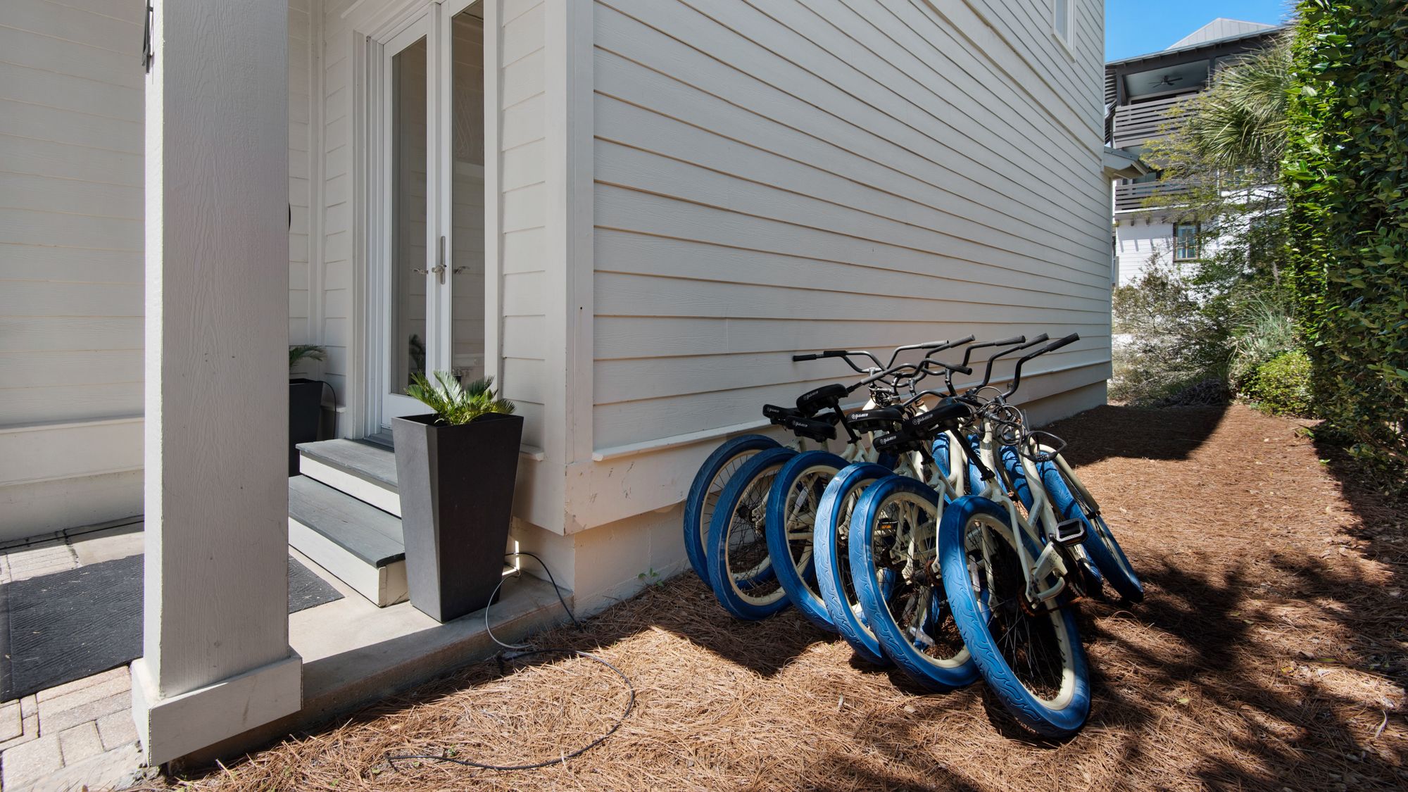 The Bee's Knees: 6 Bikes