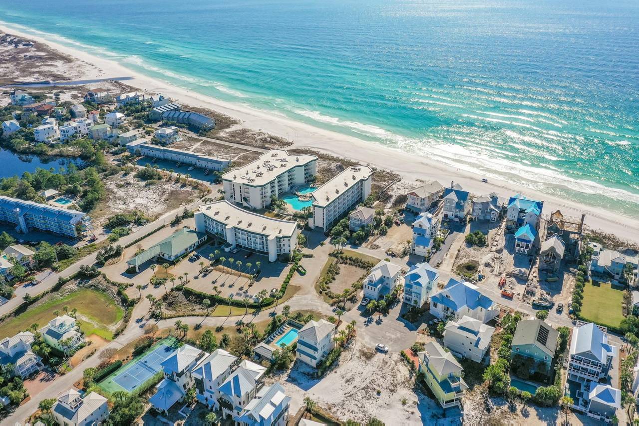 The Bee's Knees Drone Shot The Bee's Knees Drone Shot