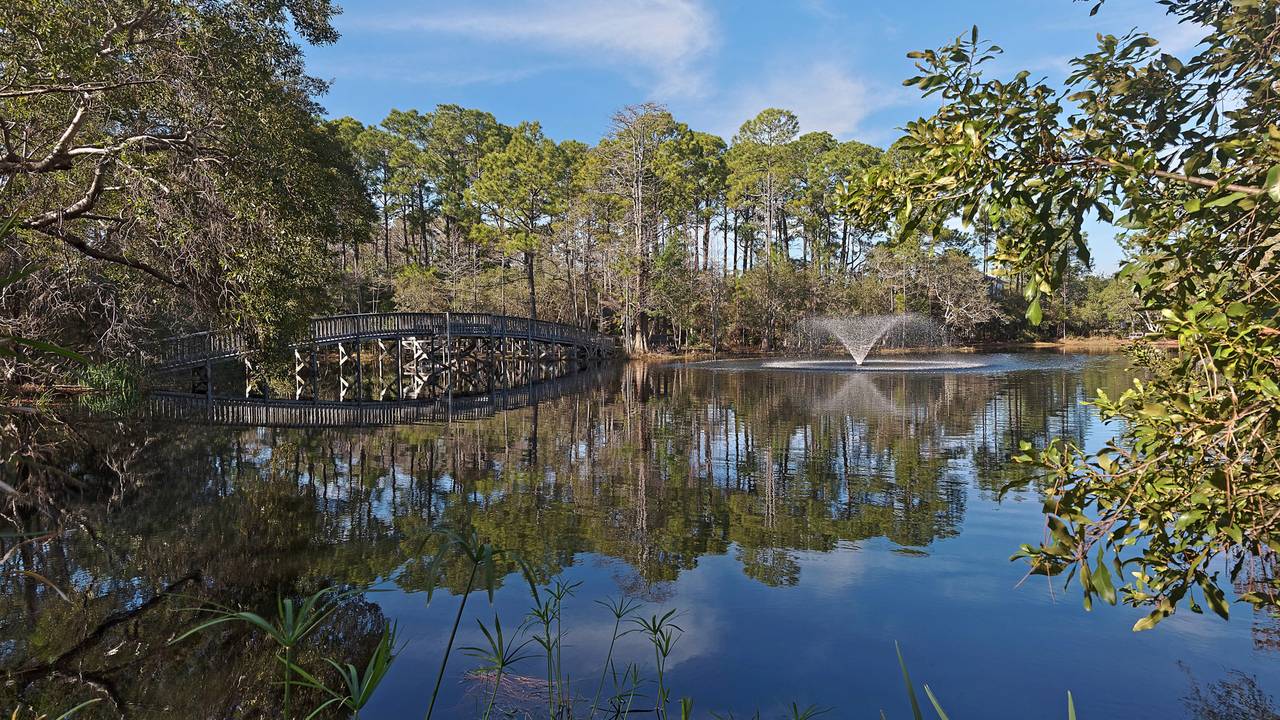 Cassine Village Grounds & AmenitiesCassine Village Grounds & Ame Cassine Village Grounds & AmenitiesCassine Village Grounds & Ame