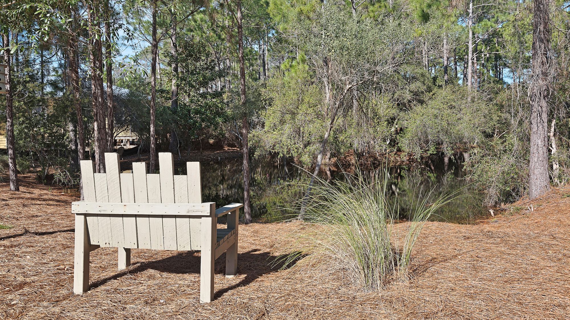 Cassine Village Grounds & Amenities