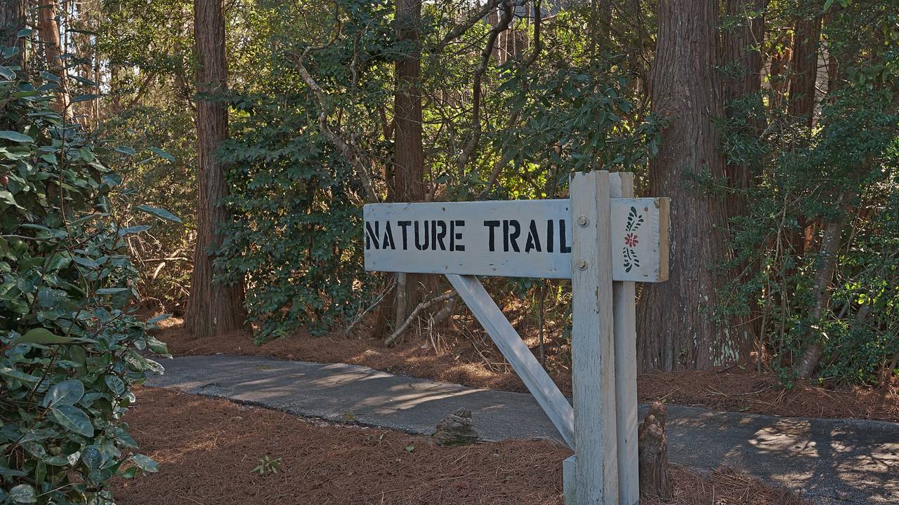 Cassine Village Grounds & Amenities Cassine Village Grounds & Amenities