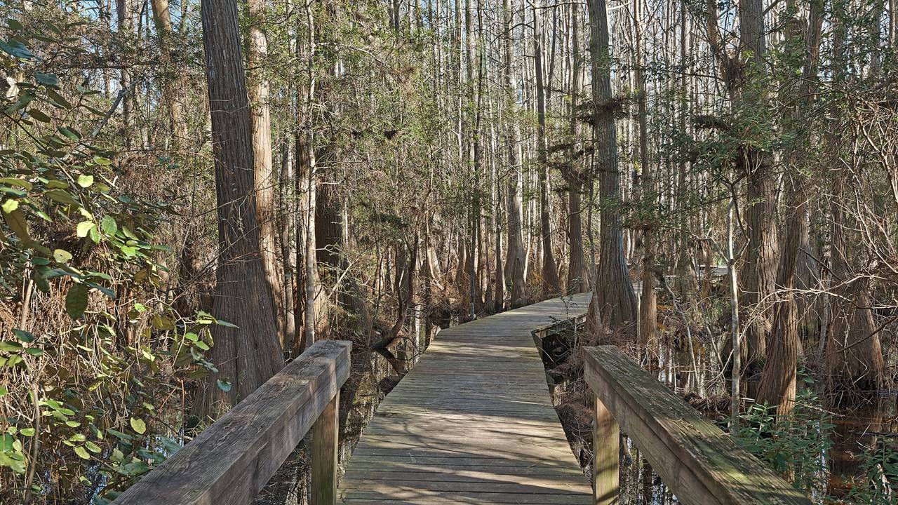 Cassine Village Grounds & Amenities Cassine Village Grounds & Amenities