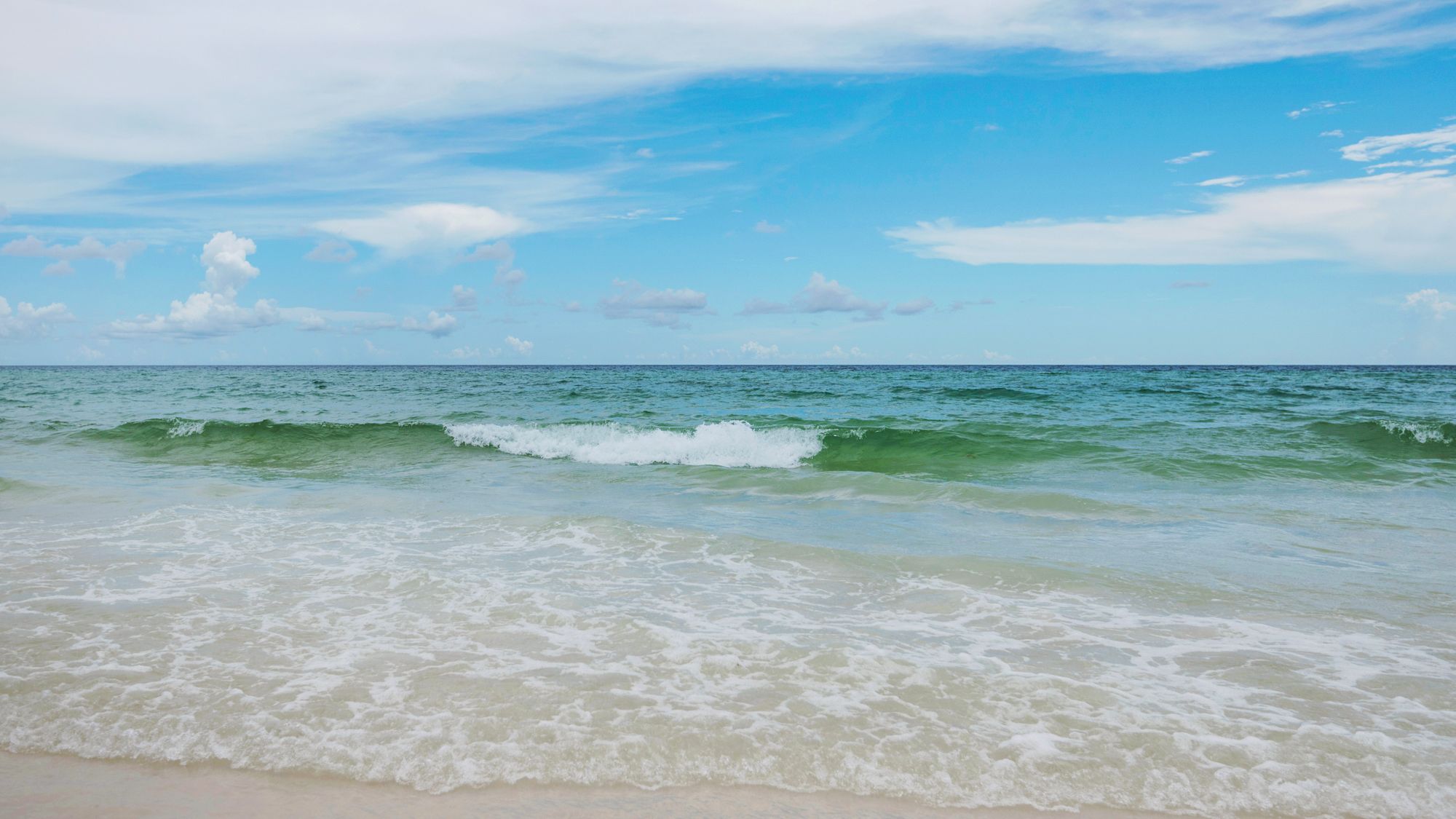 Herons Watch Grounds & Amenities