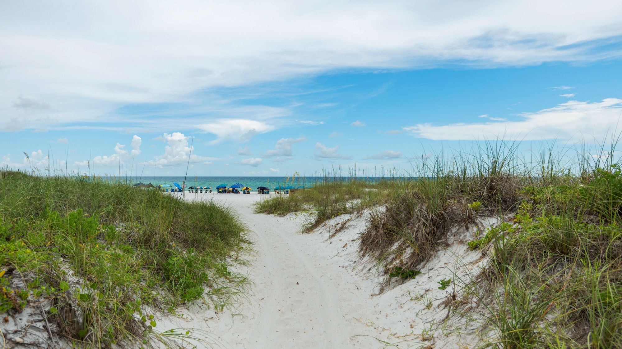 Herons Watch Grounds & Amenities