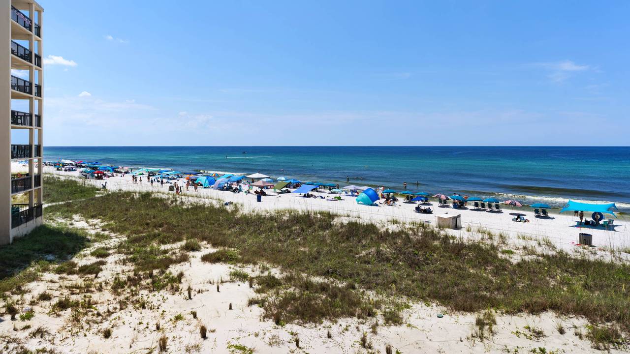 Sunnyside Up - Gulf views Sunnyside Up - Gulf views