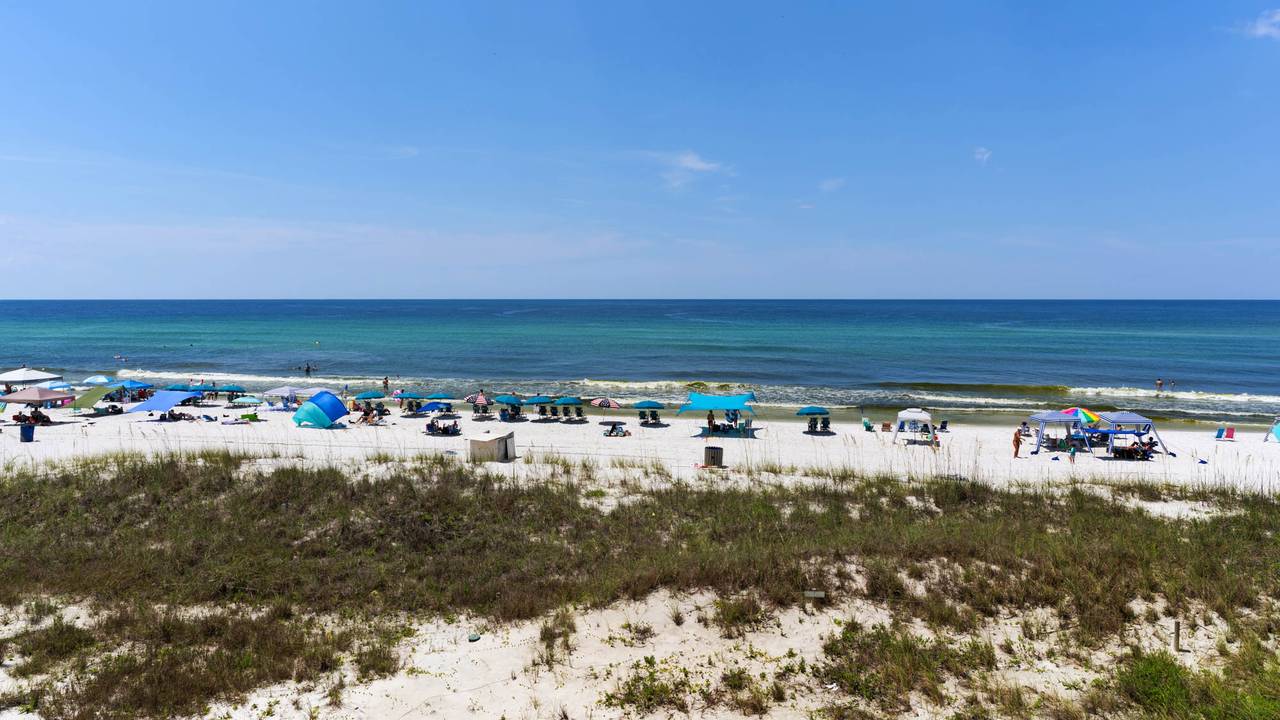 Sunnyside Up - Gulf views Sunnyside Up - Gulf views