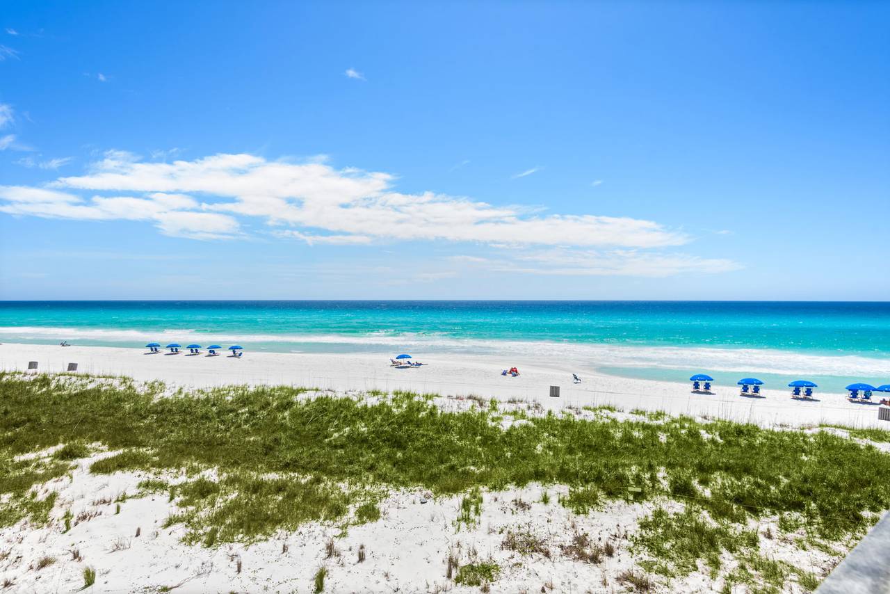 Sunnyside Up Sunnyside Up