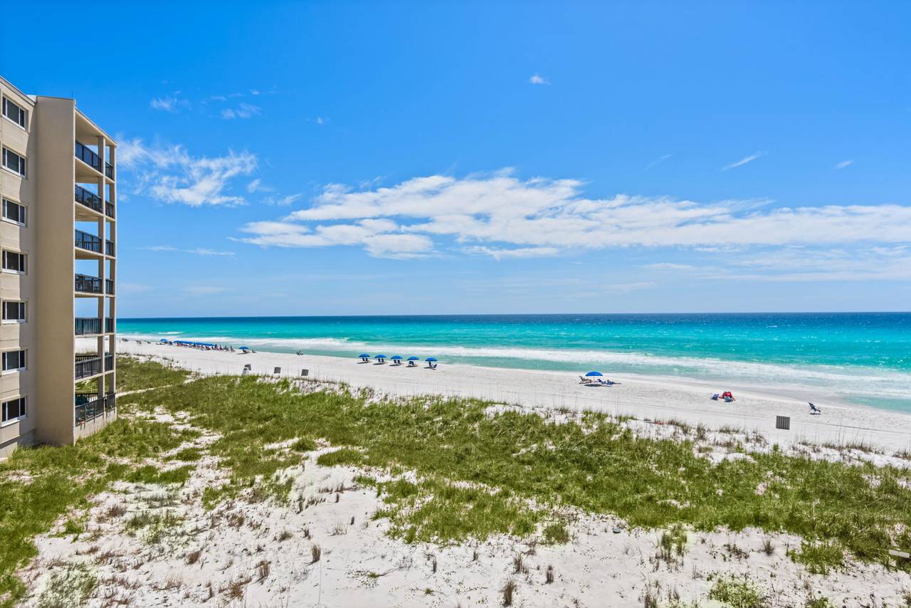 Sunnyside Up Sunnyside Up