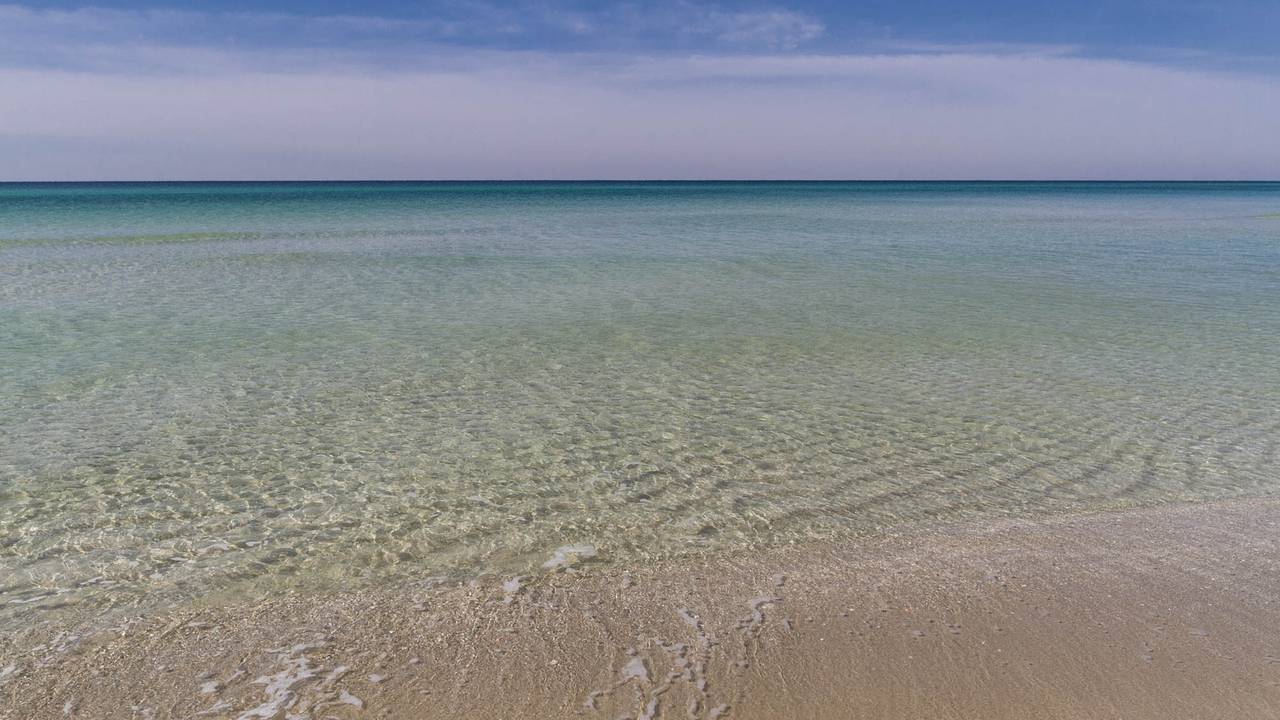 Pinnacle Port Grounds & Amenities Pinnacle Port Grounds & Amenities