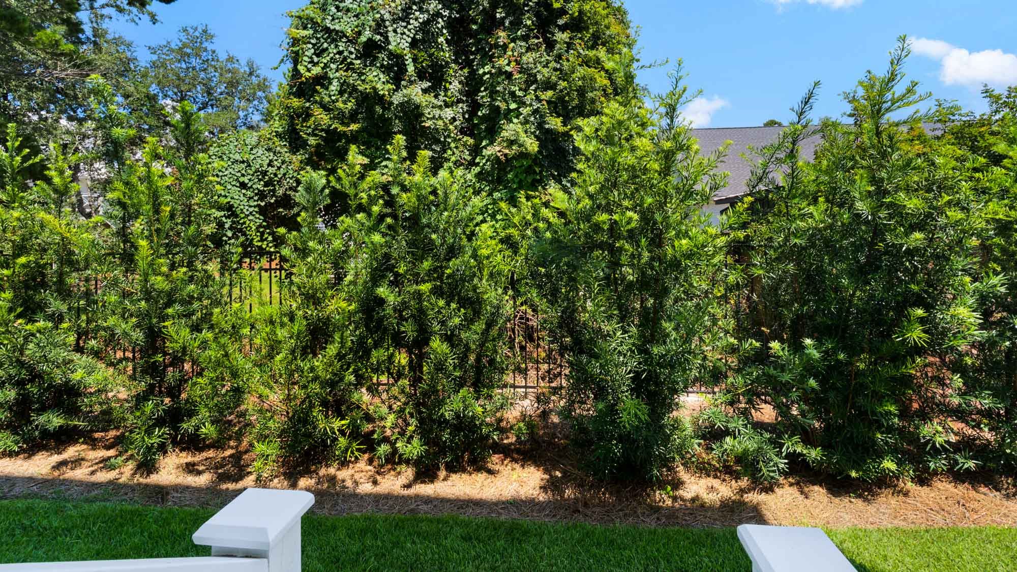 Sunset on Sawgrass - Backyard