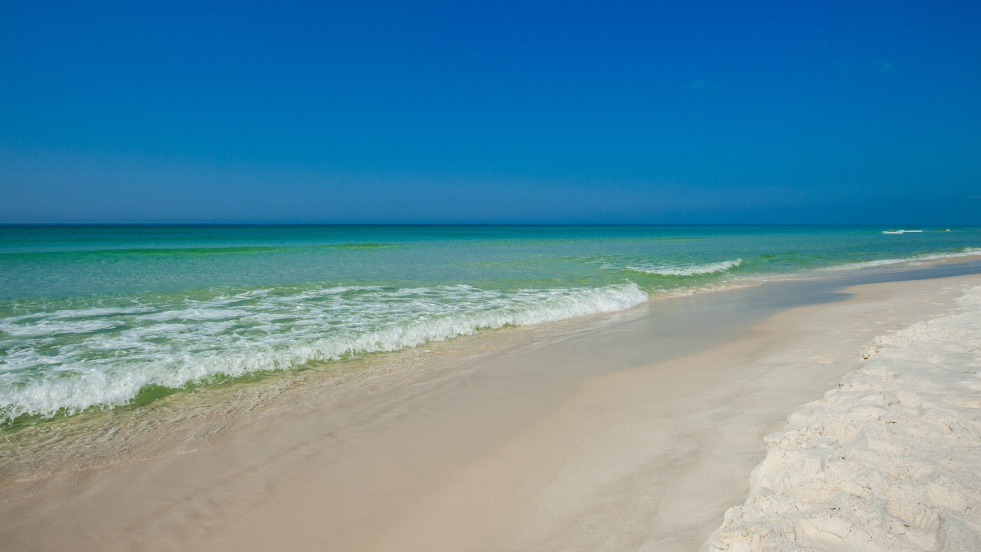 Paradise Retreat Neighborhood