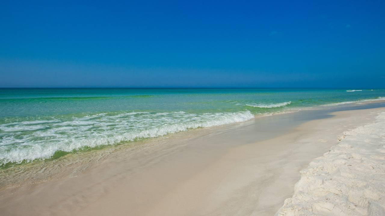 Paradise Retreat Neighborhood Paradise Retreat Neighborhood